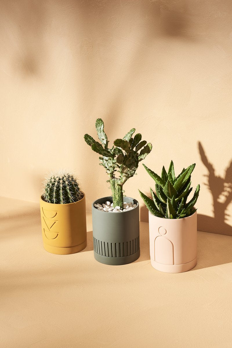 Etch Planter Was $65 NOW