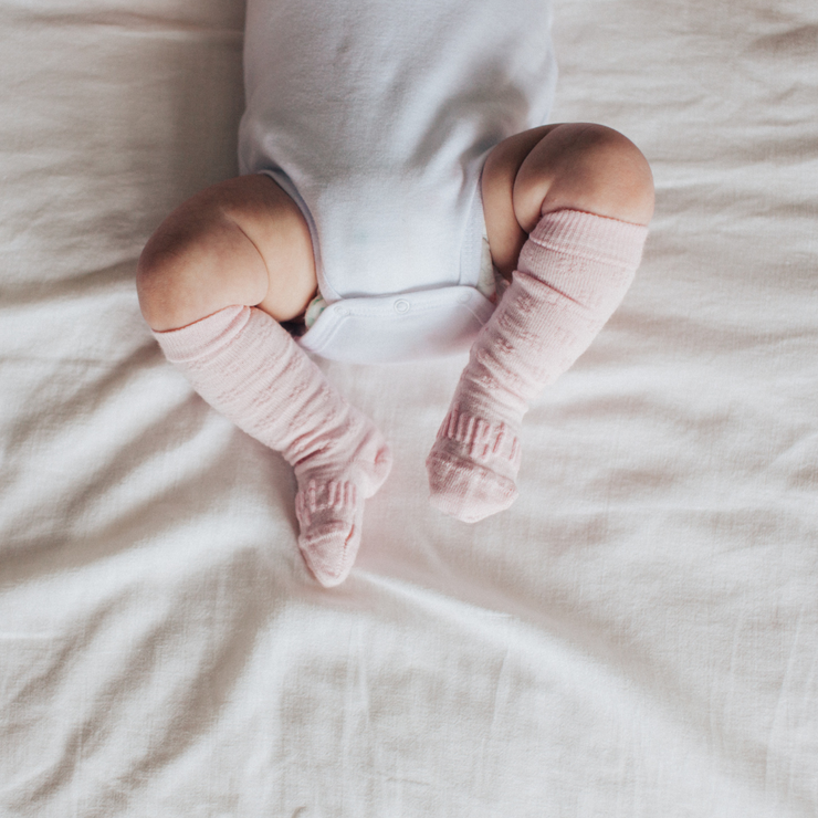 Lamington Knee High Baby Socks - New Born