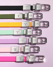 Frank Green Pet Collar - Large Assorted Colours Was $99 Now