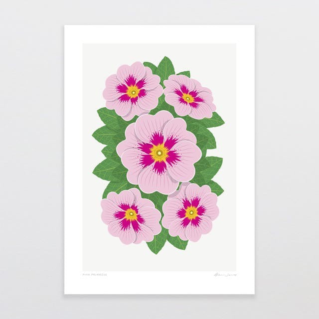 Glenn Jones Print - Pink Primrose