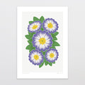 Glenn Jones Print - Violet Primrose