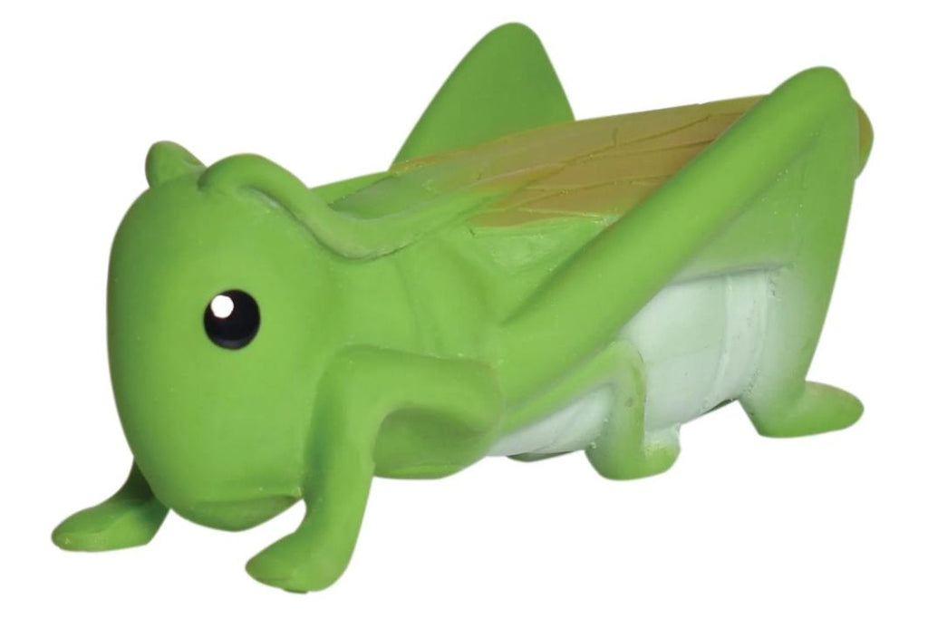 Organic Rubber Grasshopper Teether & Rattle