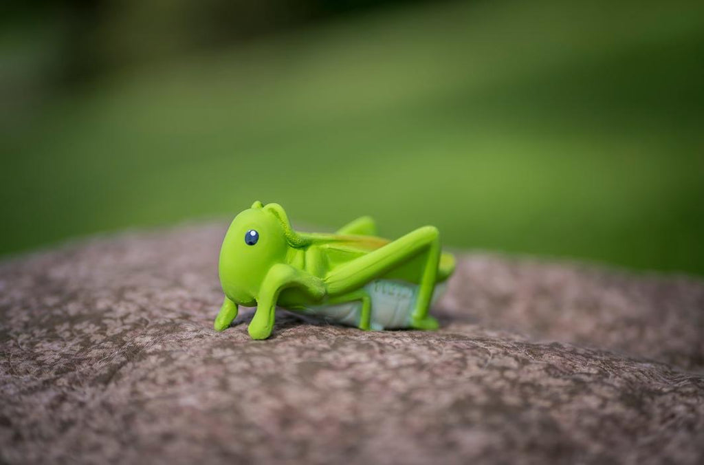 Organic Rubber Grasshopper Teether & Rattle