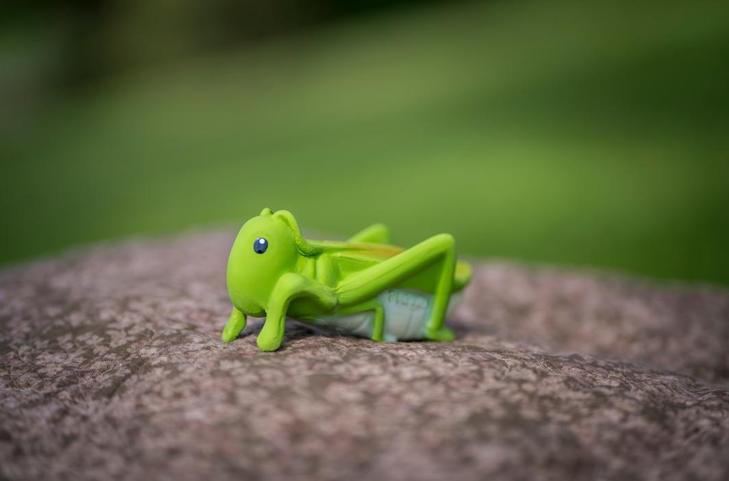 Organic Rubber Grasshopper Teether & Rattle