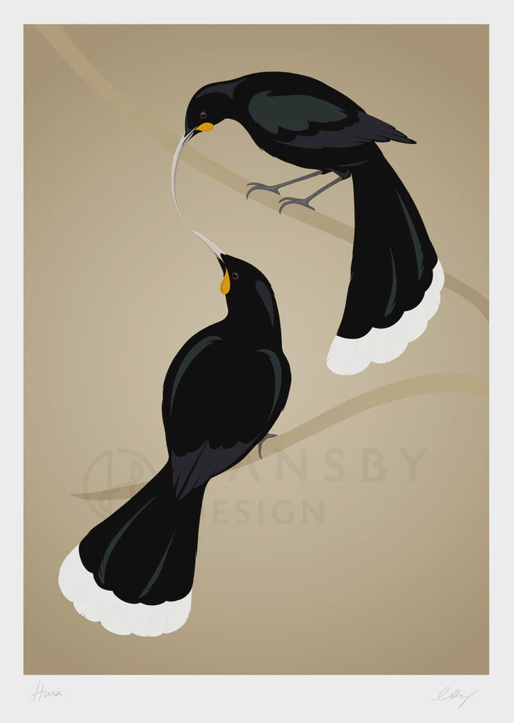 Wildlife Print - Framed Huia Pair