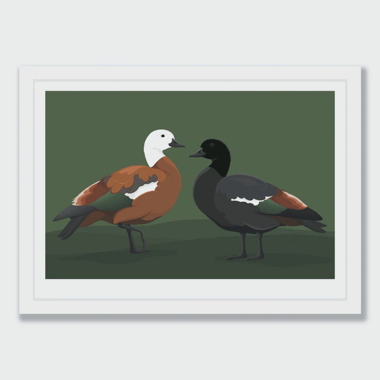 Wildlife Print - Limited Edition Paradise Ducks