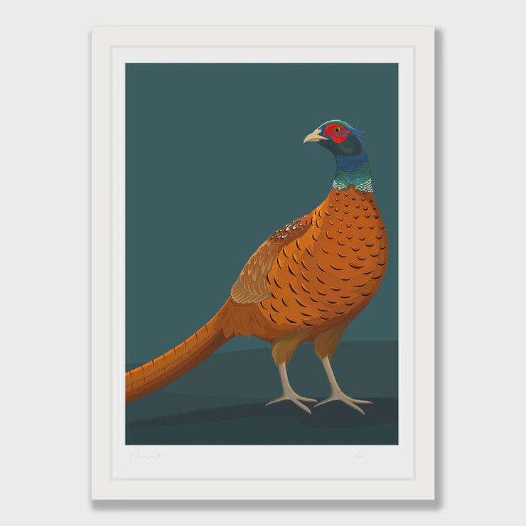 Wildlife Print - Framed Pheasant