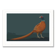 Wildlife Print - Limited Edition Pheasant