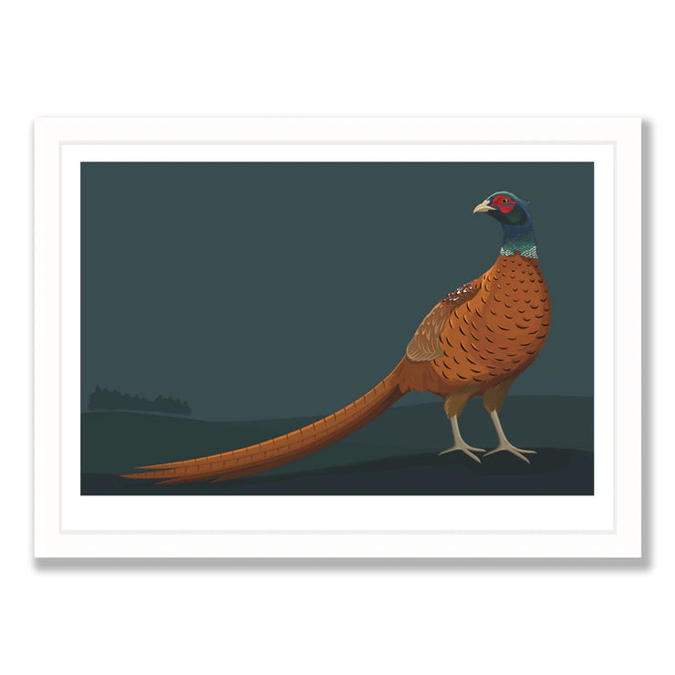 Wildlife Print - Limited Edition Pheasant
