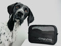 The Hairy Dog Grooming Kit  Was $125 NOW