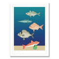 Wildlife Laser Print - Fish School
