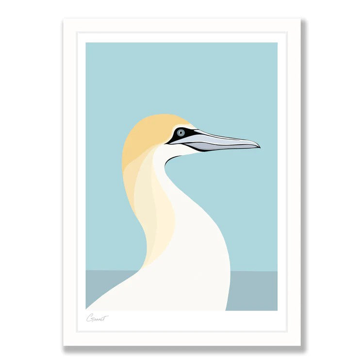 Wildlife Laser Print - Gannet
