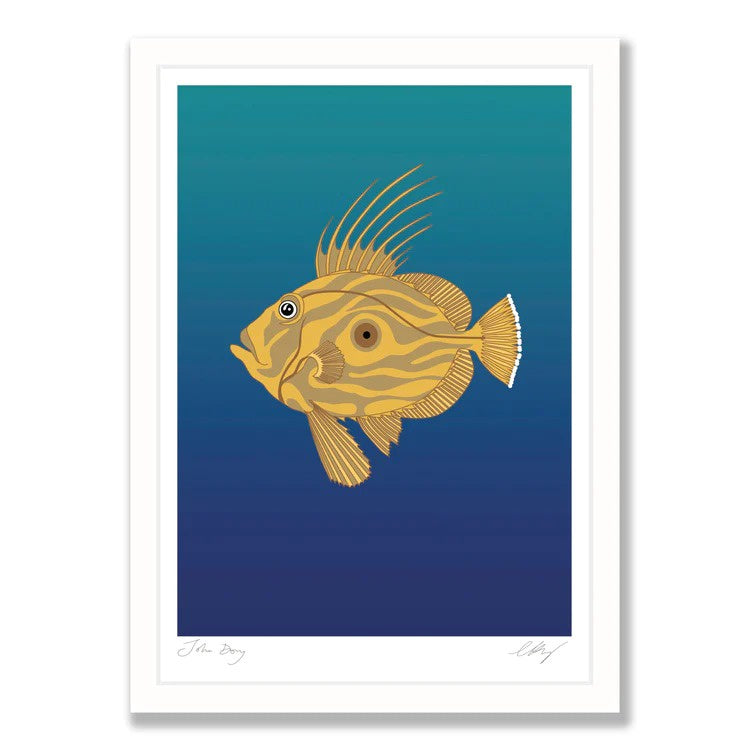 Wildlife Laser Print - John Dory