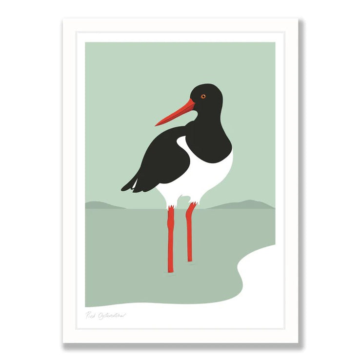 Wildlife Laser Print - Oyster Catcher