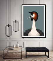 Wildlife Laser Print - Crested Grebe