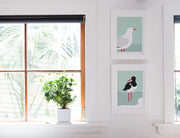 Wildlife Laser Print - Oyster Catcher