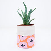 moobee Mini Canvas Planters