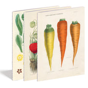 John Derian Paper Goods - Kitchen Delights Notebooks