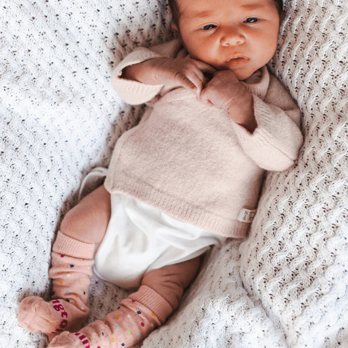 Lamington Knee High Socks 100s & 1000s