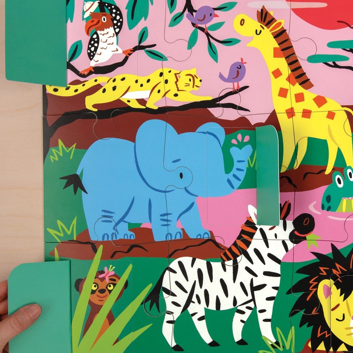 Lift The Flap On Safari
