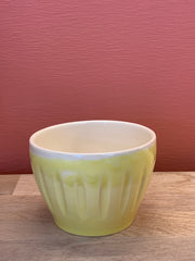 Coloured Small Beaker Was $25 Now