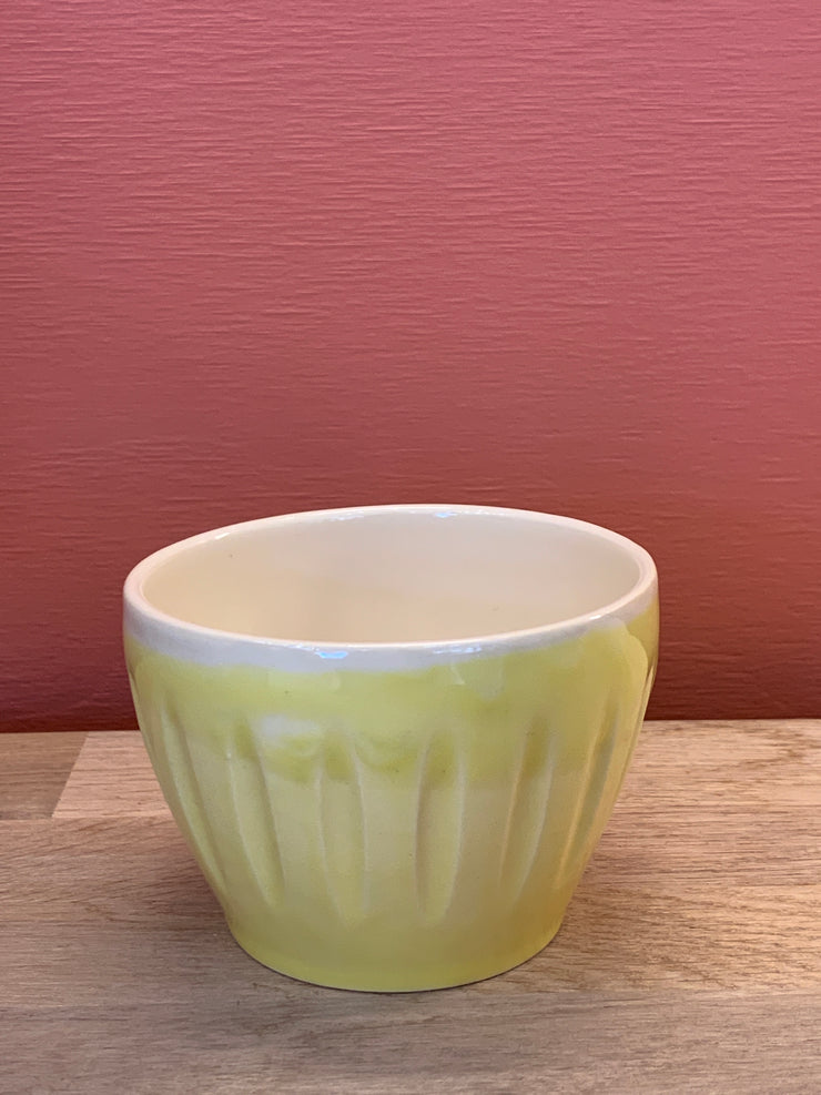 Coloured Small Beaker Was $25 Now
