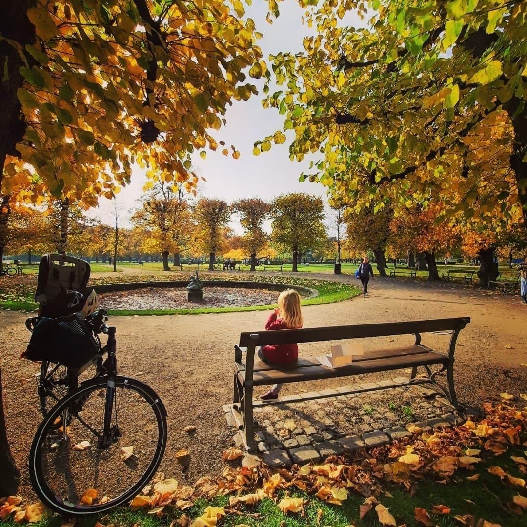 Nothing Like A Dane - A Real Life Search For Hygge in Denmark