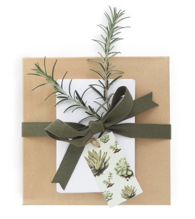 Studio Sue Gift Tags- Succulents