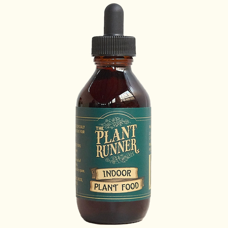 Indoor Plant Food