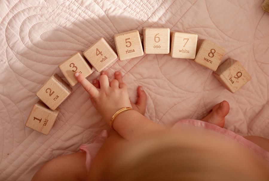 Wooden Block Set - Tahi Rua Toru
