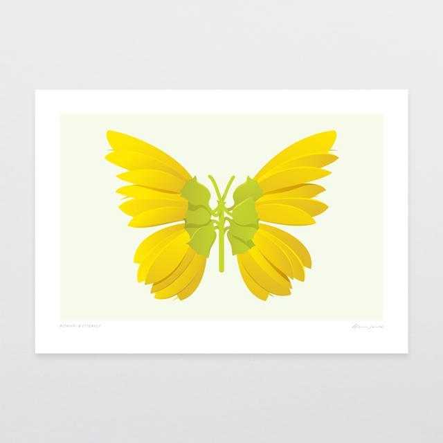 Glenn Jones Print - Kowhai Butterfly