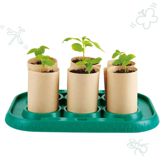 Hape Nature Fun Growing Greenhouse