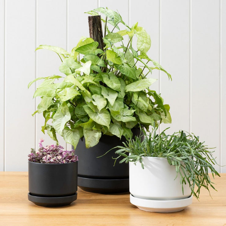 Zurich Planter - Black